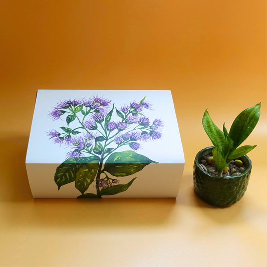 Buy Darjeeling Gift Boxes Online - Chai Experience