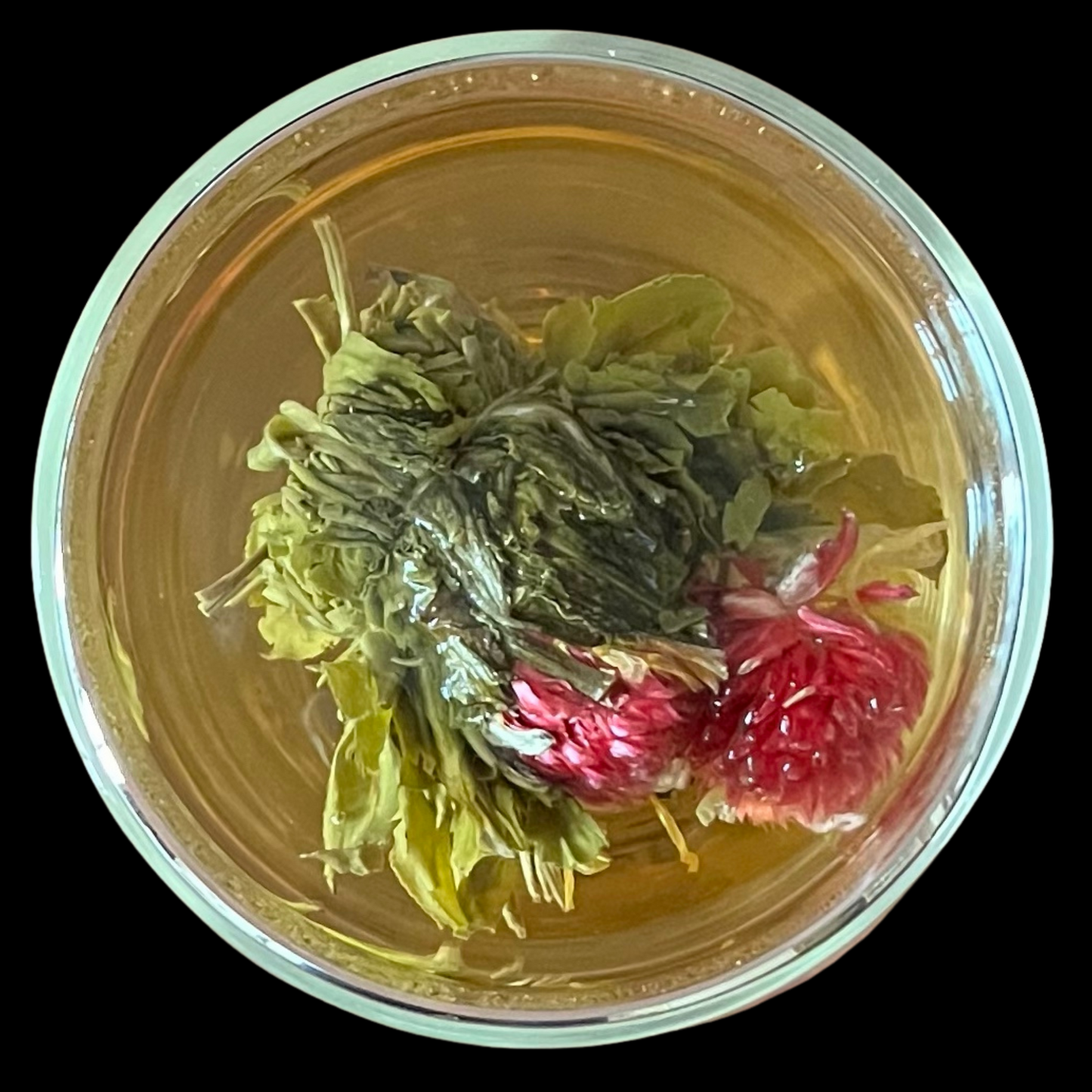 Buy Online: Jasmine Blooming Tea, Ornamental Tea : Chai Experience