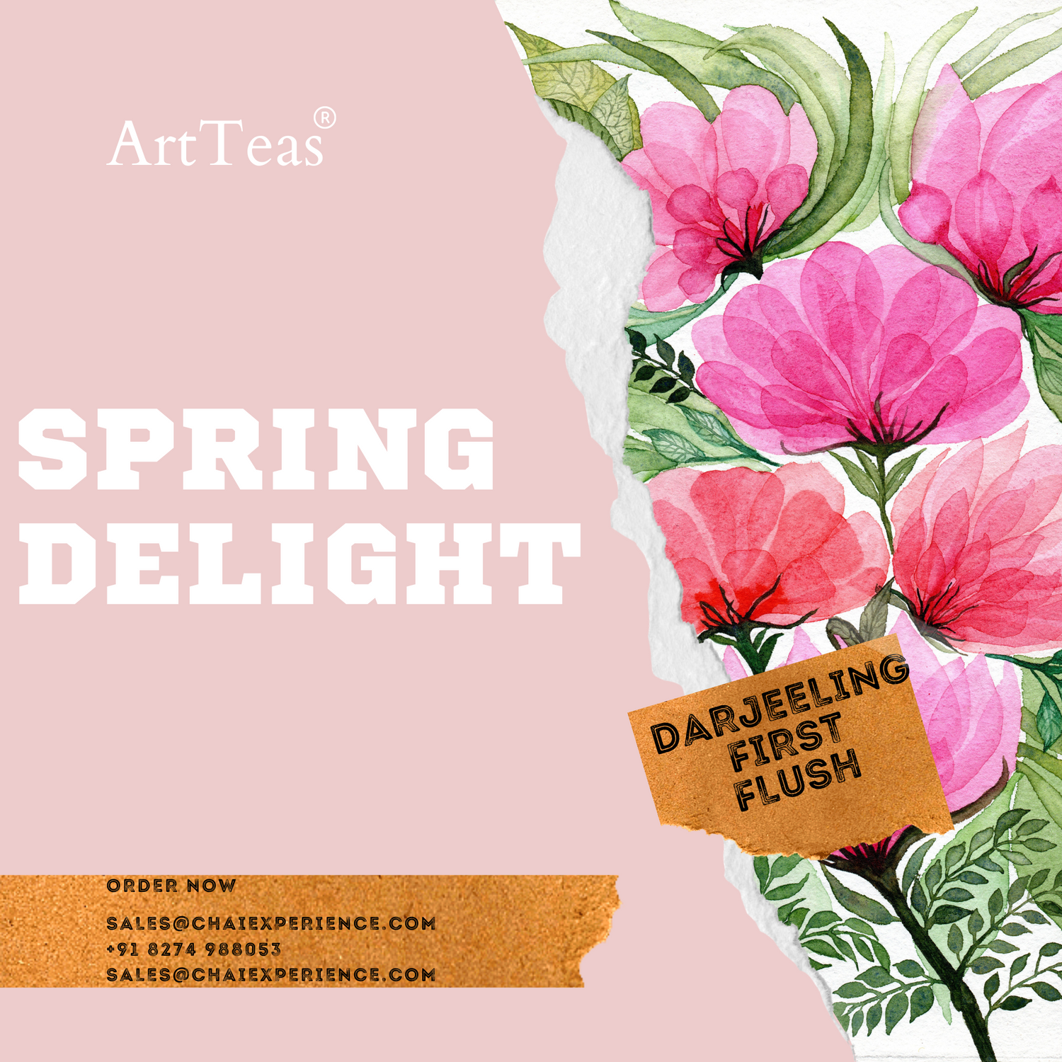 Buy Darjeeling First Flush Tea Online by Chai Experience